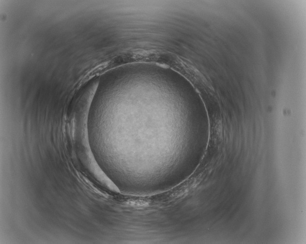 X0000084530914200702231156