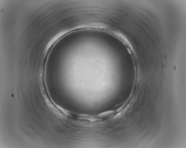 X0000084530952200702231157
