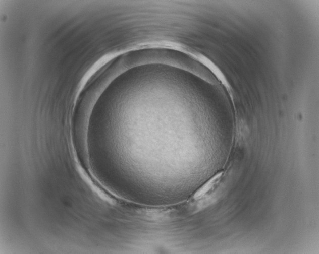 X0000084531005200702231155