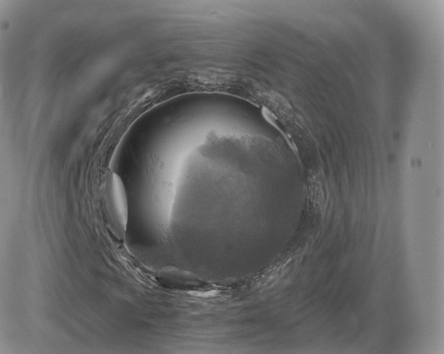 X0000084531009200702231155