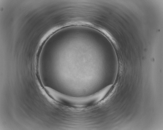 X0000084531046200702231155