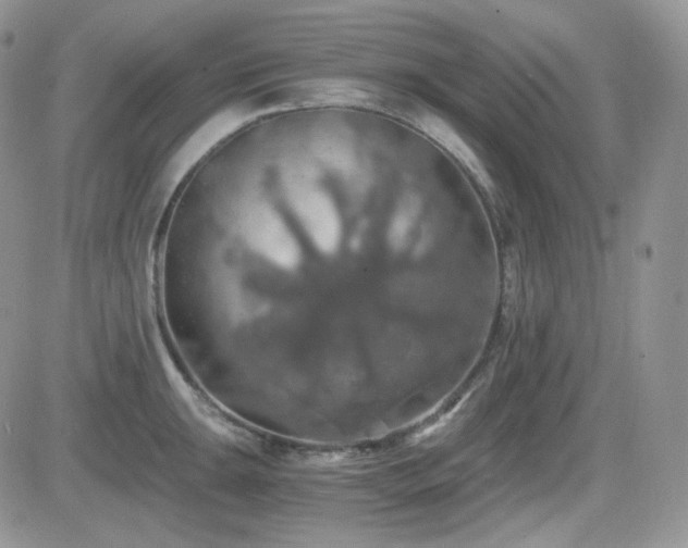 X0000084531047200702231155
