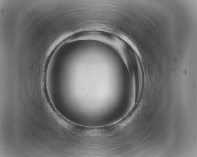 X0000084531093200702231154
