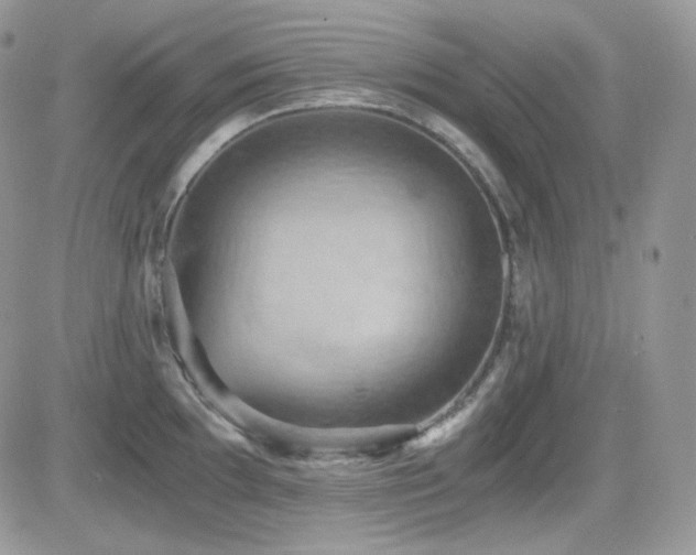 X0000084531097200702231154