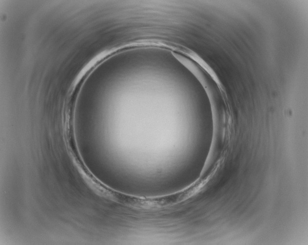 X0000084531101200702231154