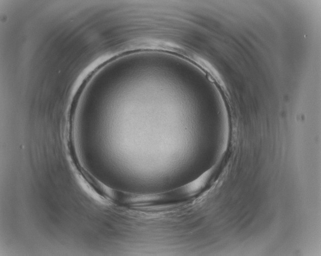X0000084531136200702231154