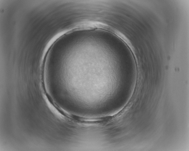 X0000084531152200702231154