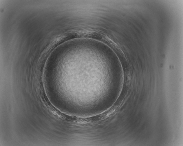 X0000084531153200702231153