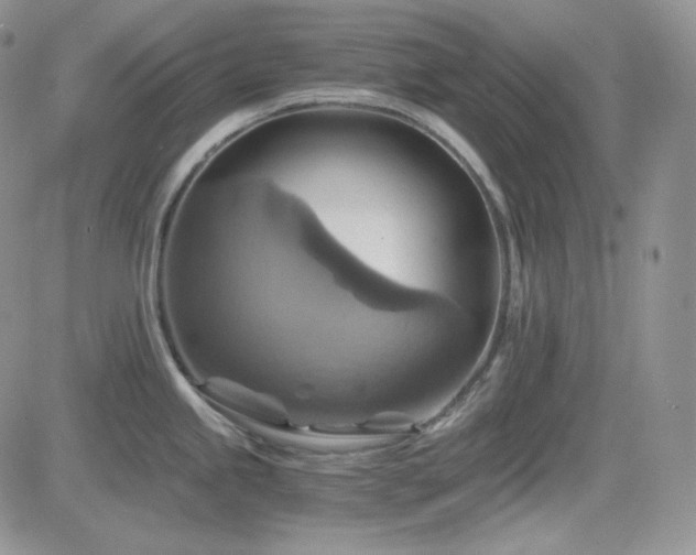 X0000084531245200702231152