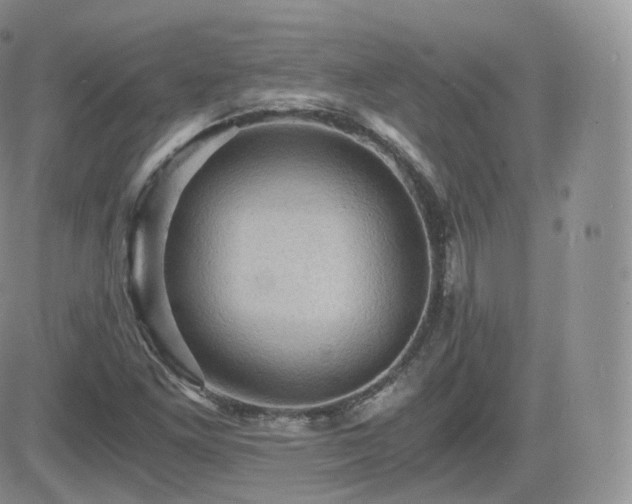 X0000084531261200702231151