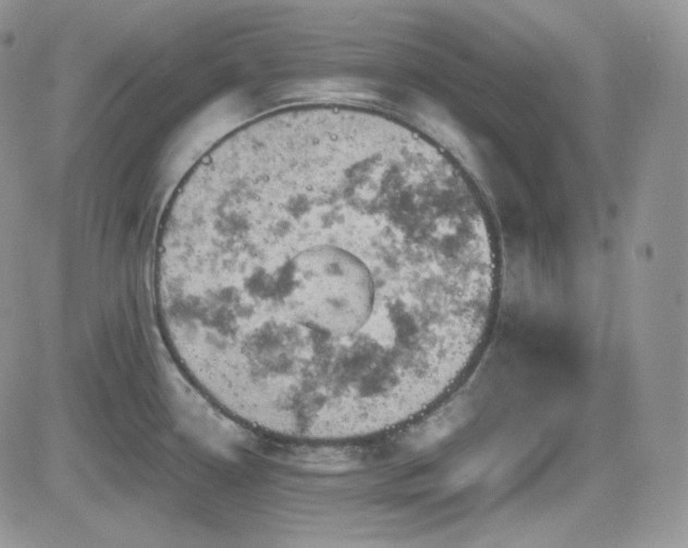 X0000084531338200702231150
