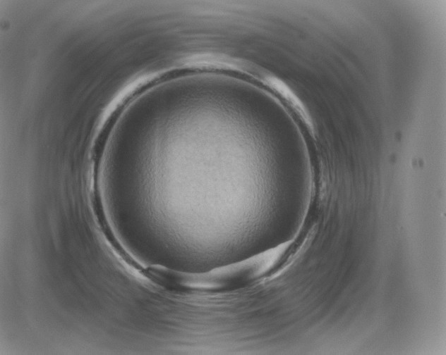 X0000084531376200702231149