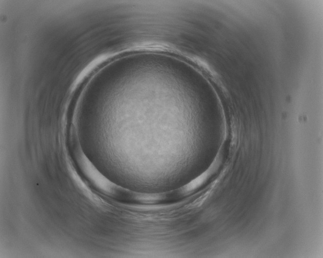 X0000084531422200702231149