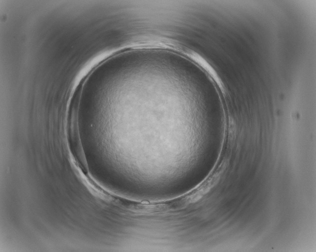 X0000084531485200702231147