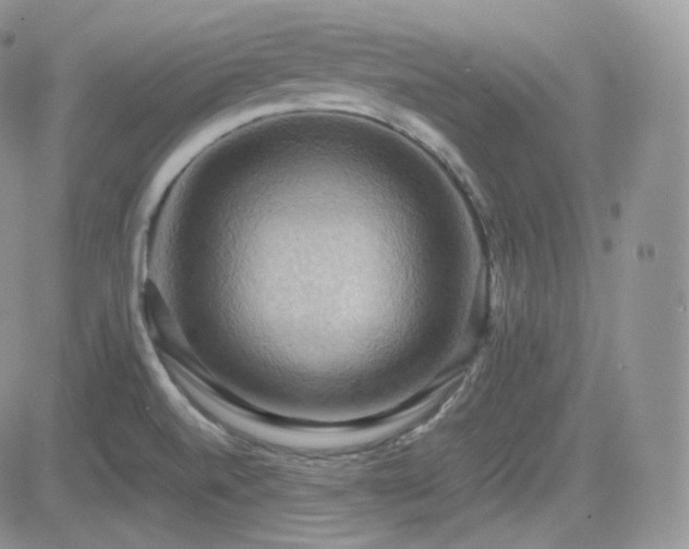 X0000084531520200702231147