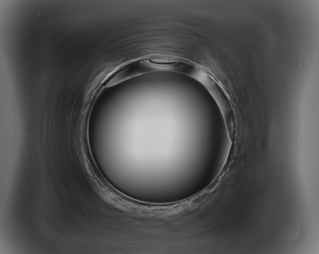 X0000084530001200703021431