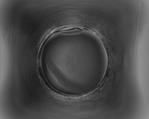 X0000084530002200703021431