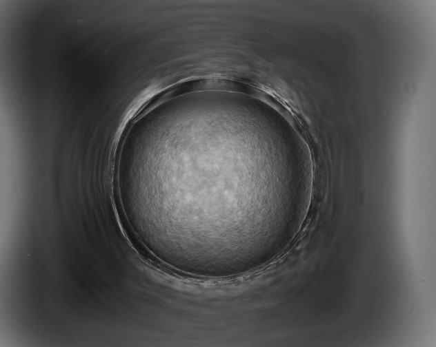 X0000084530003200703021431