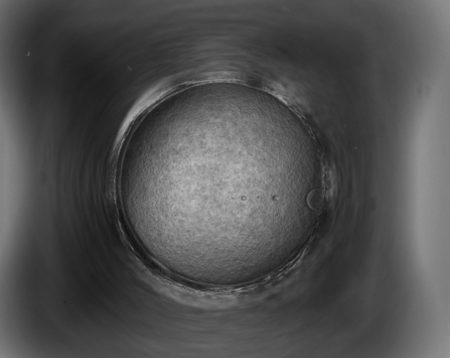 X0000084530004200703021431