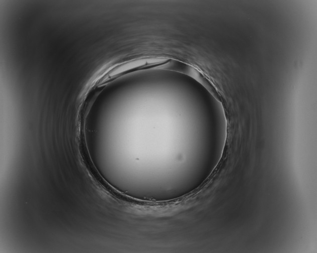 X0000084530005200703021431