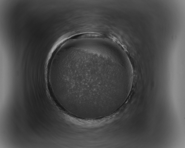 X0000084530006200703021431