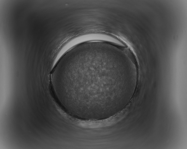 X0000084530009200703021431