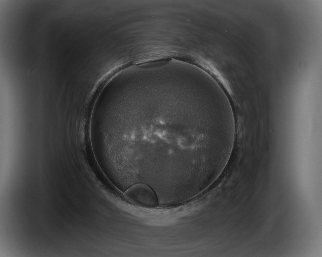 X0000084530010200703021431