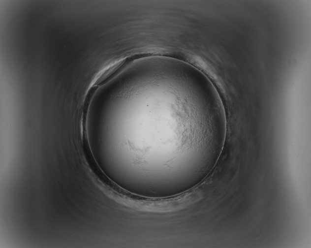 X0000084530011200703021431