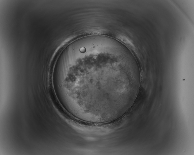 X0000084530012200703021431