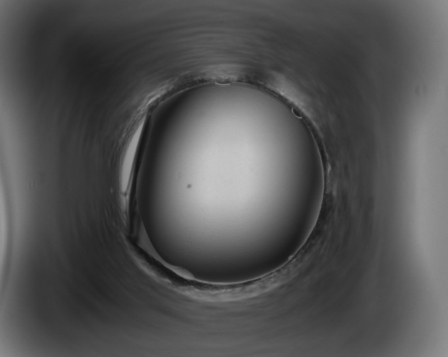 X0000084530013200703021431