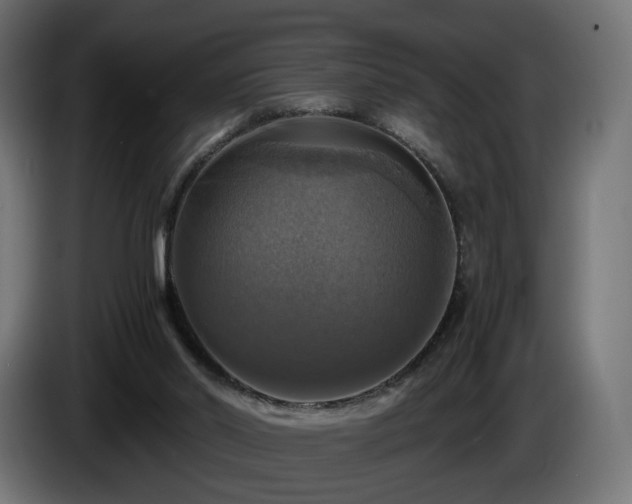 X0000084530014200703021431