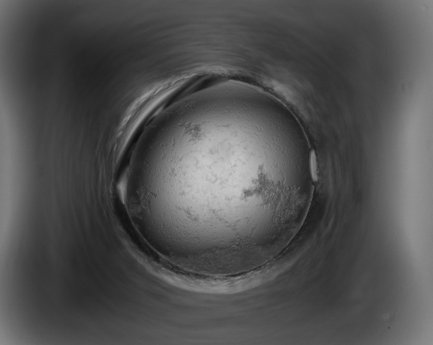 X0000084530015200703021431