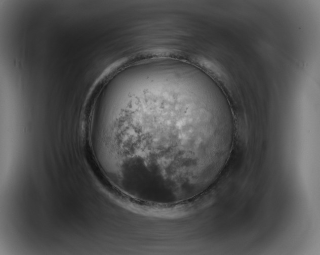 X0000084530016200703021431