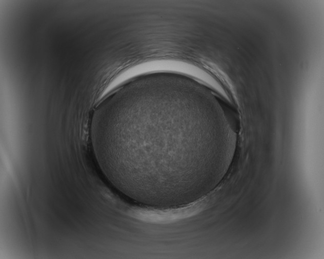 X0000084530017200703021431