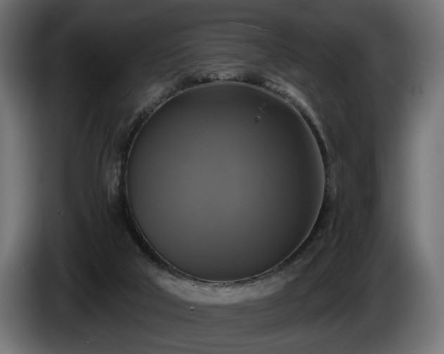 X0000084530018200703021431