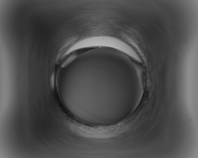 X0000084530019200703021431