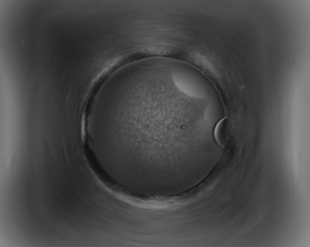 X0000084530020200703021431