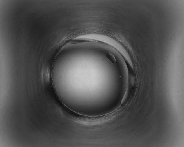 X0000084530021200703021431