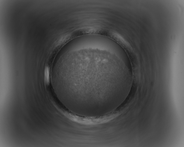 X0000084530022200703021431