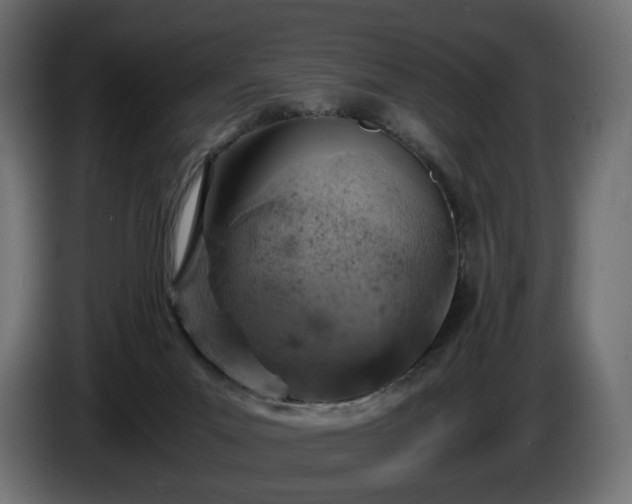 X0000084530023200703021431