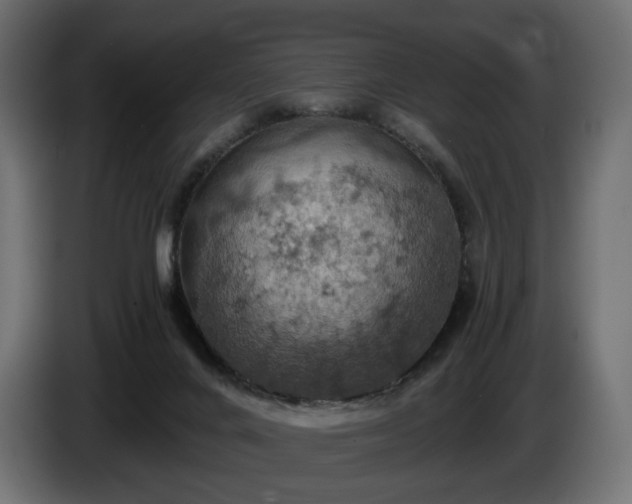 X0000084530024200703021431