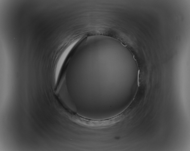 X0000084530027200703021431