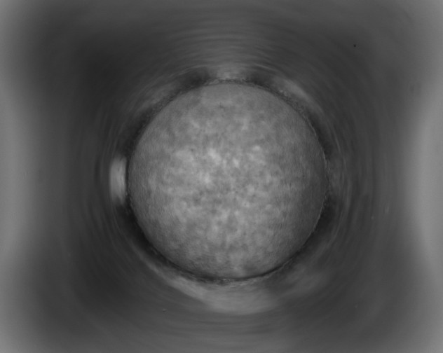 X0000084530028200703021431