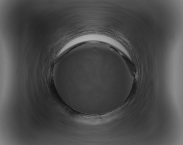 X0000084530029200703021431