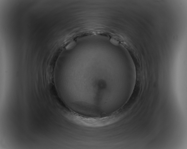 X0000084530030200703021431