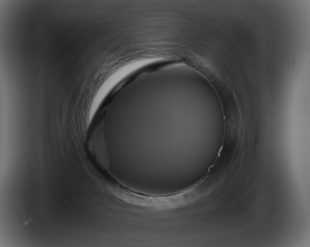 X0000084530031200703021431