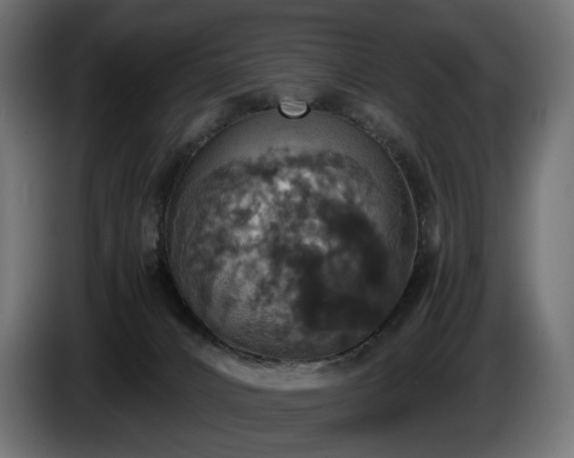 X0000084530032200703021431