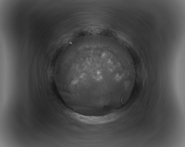 X0000084530034200703021431