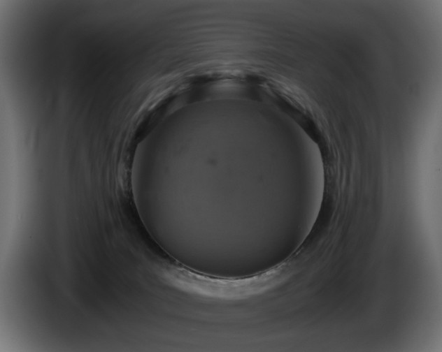 X0000084530035200703021431