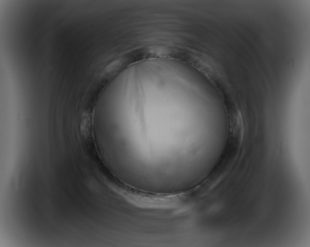 X0000084530036200703021431